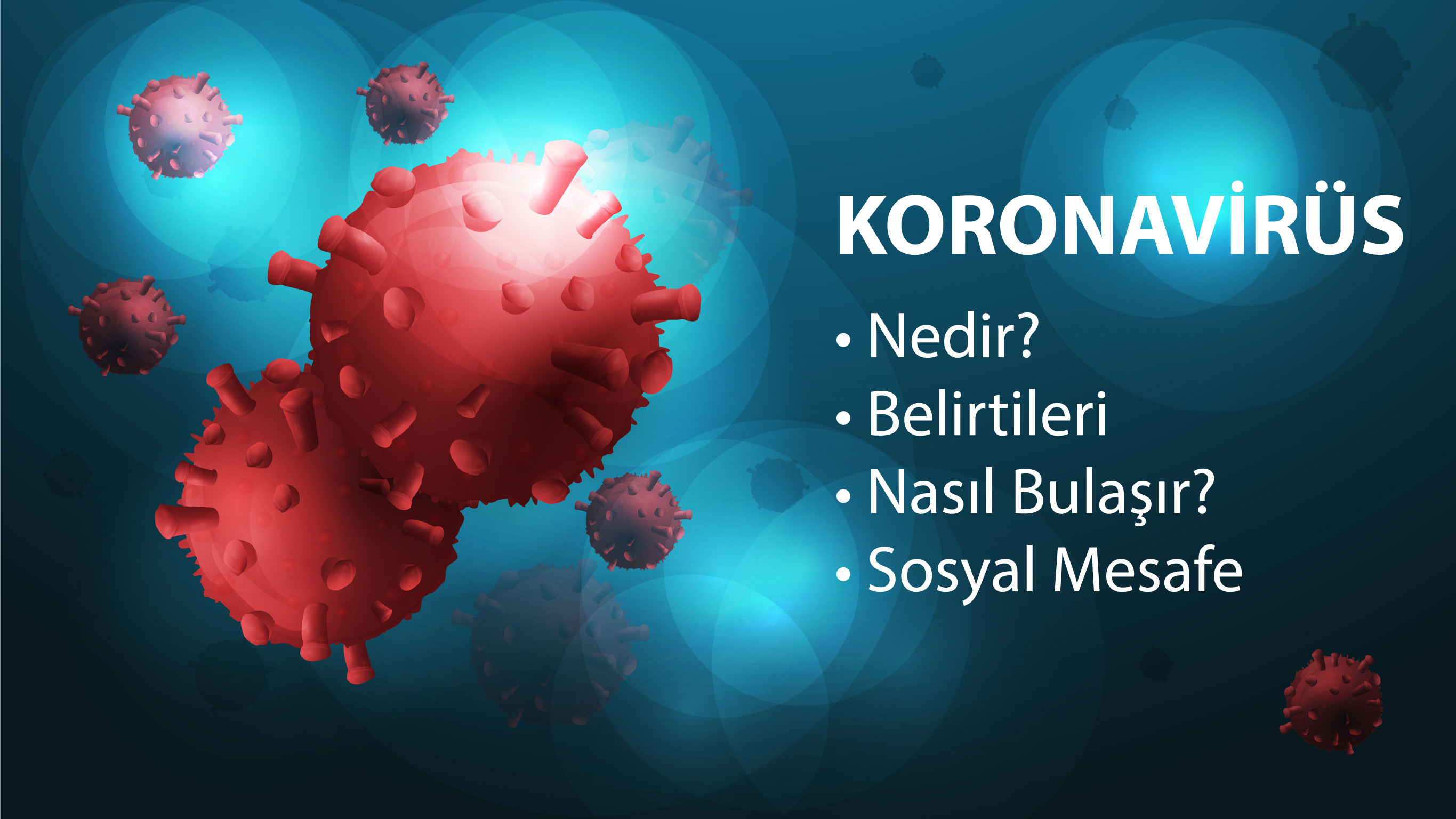 Koronavirüs Nedir