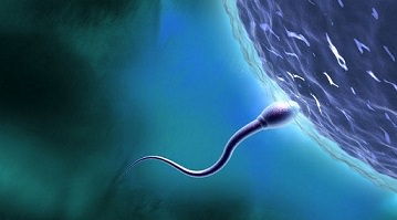 Infertility Treatment