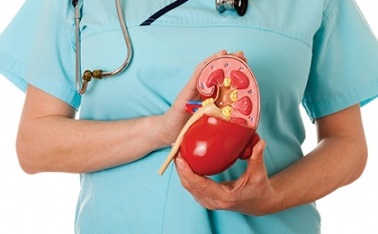 Urinary System Diseases