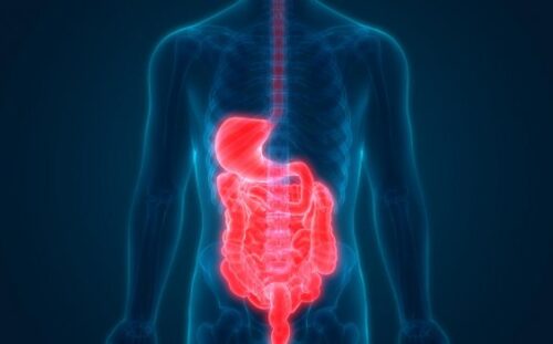 Endoscopy