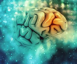 Alzheimer’s