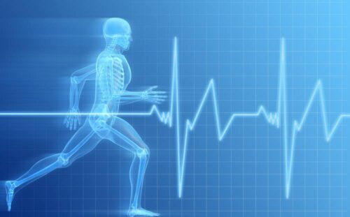 Exercise Test