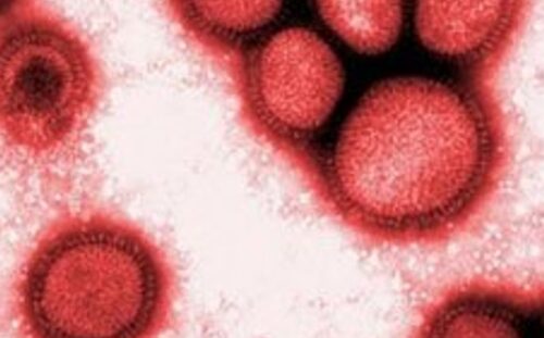 Microbiology