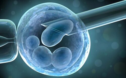 Genetic Tests