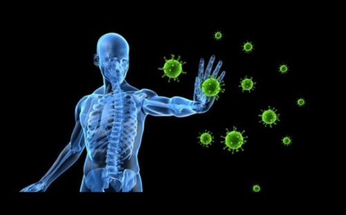 Immunology