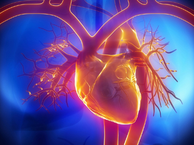 Cardiac MR Imaging