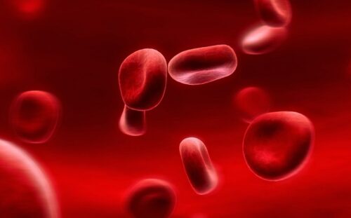 Hematology