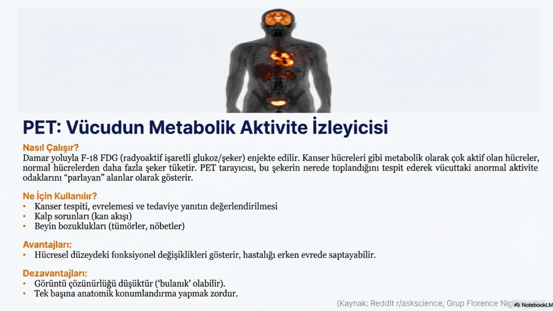 Pet Ct Nedir